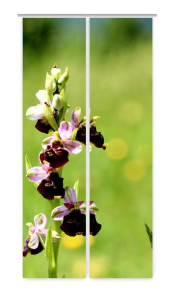 Orchideenzauber, Schiebegardine, Flächenvorhang Set, blickdicht,